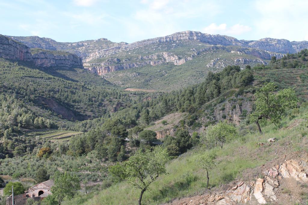 Vila Cal Millo Vilella Alta Exteriér fotografie