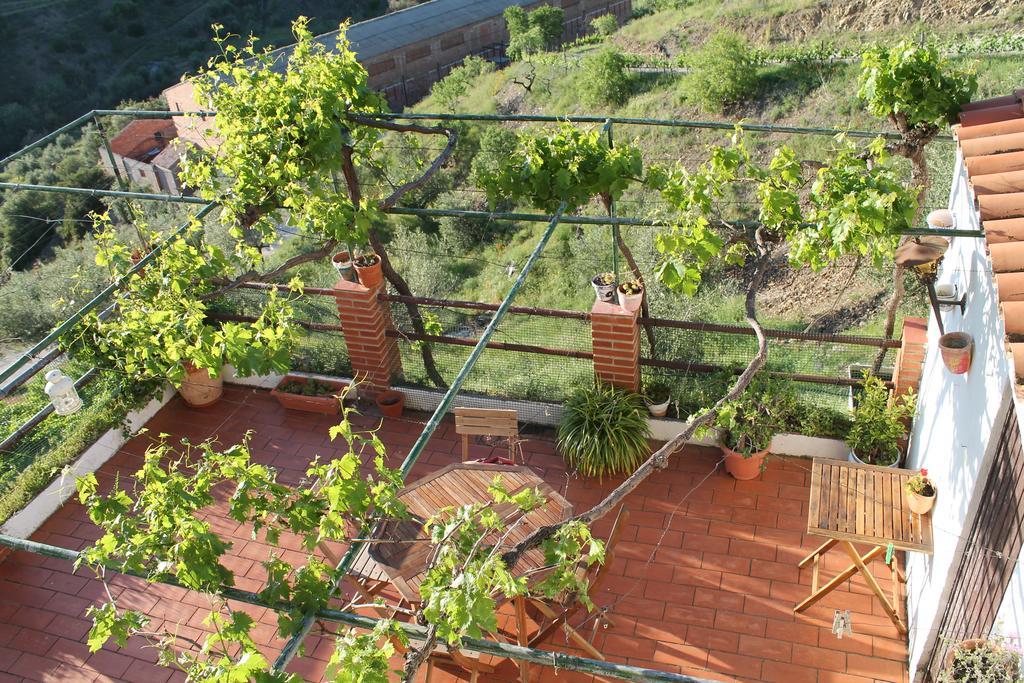 Vila Cal Millo Vilella Alta Exteriér fotografie